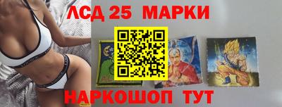 spice Пенза