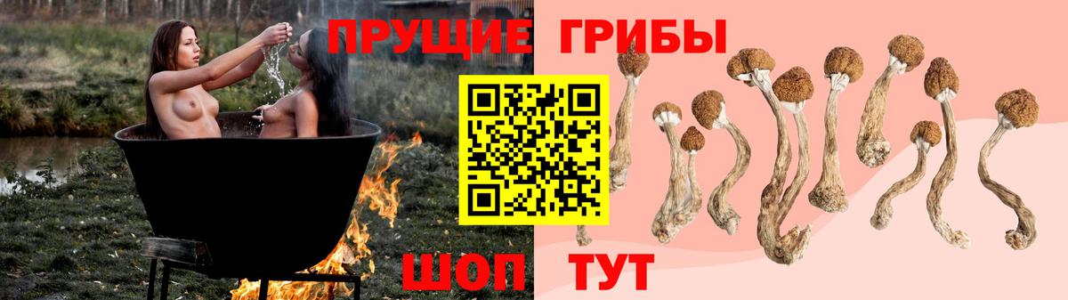 Таганрог  Псилоцибиновые грибы Cubensis  Псилоцибиновые грибы Cubensis  Вход с VPN 